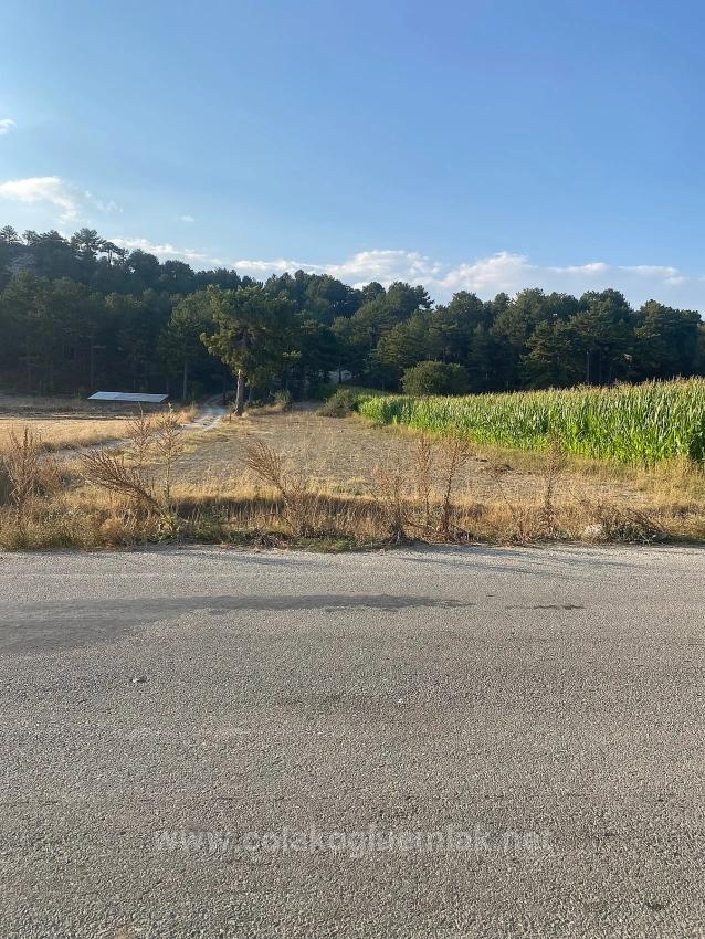 Bargain 1.356M2 Detached Land With Title Deed For Urgent Sale In Çameli Center