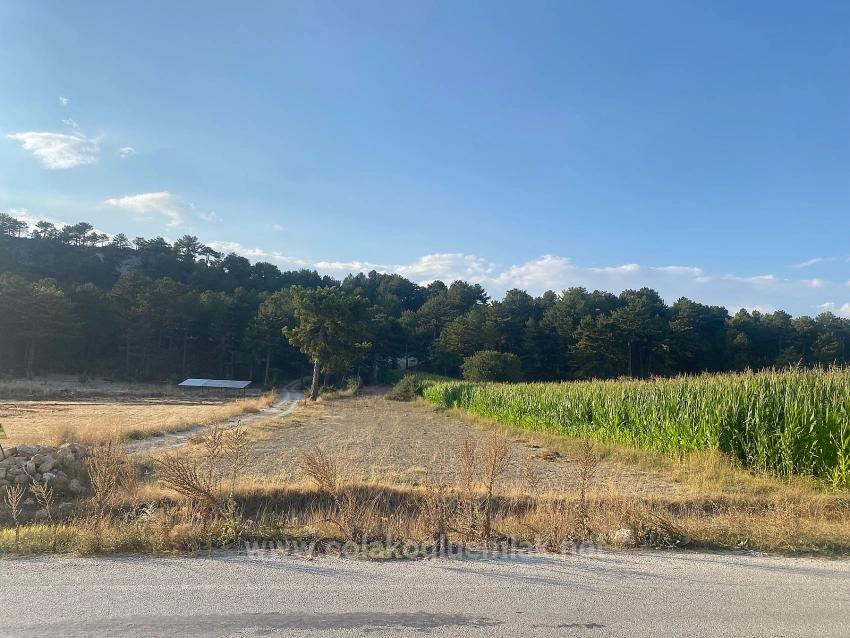 Bargain 1.356M2 Detached Land With Title Deed For Urgent Sale In Çameli Center