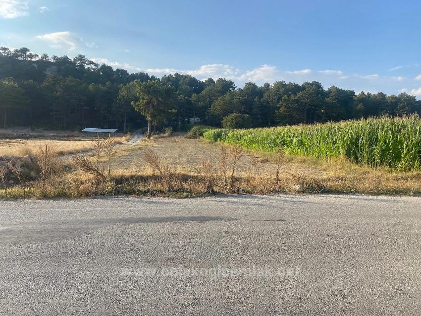 Bargain 1.356M2 Detached Land With Title Deed For Urgent Sale In Çameli Center