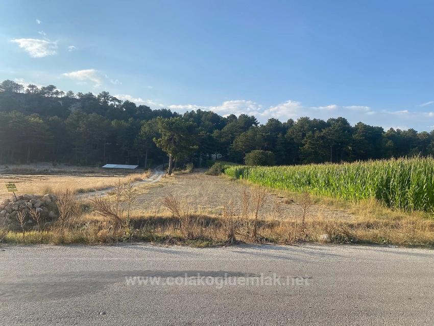 Bargain 1.356M2 Detached Land With Title Deed For Urgent Sale In Çameli Center