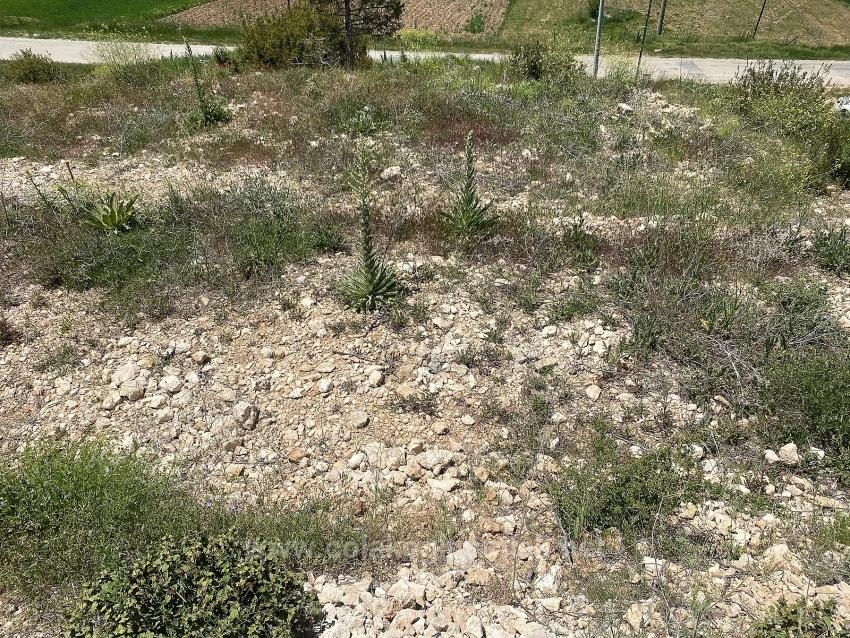 559M2 Detached Land With Tourism Housing Zone For Sale In Çameli Center