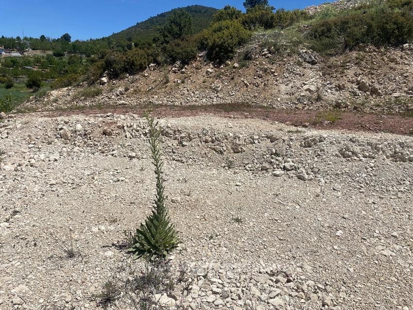 559M2 Detached Land With Tourism Housing Zone For Sale In Çameli Center