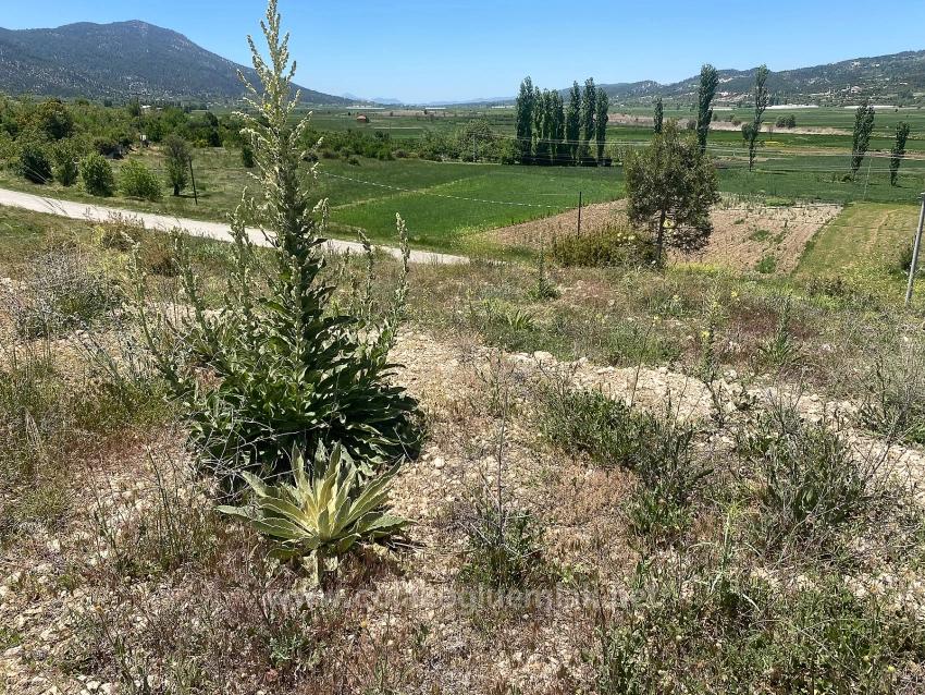 559M2 Detached Land With Tourism Housing Zone For Sale In Çameli Center