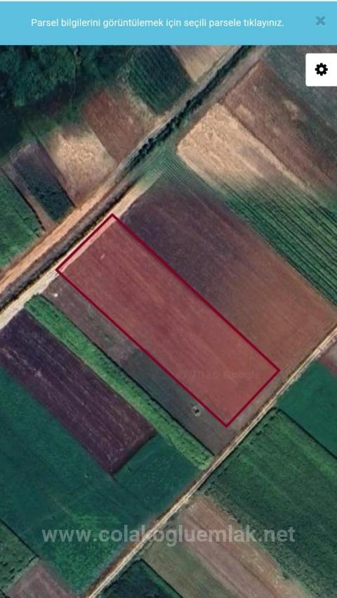 6-Acre Field For Sale In Çameli Kızılyaka.