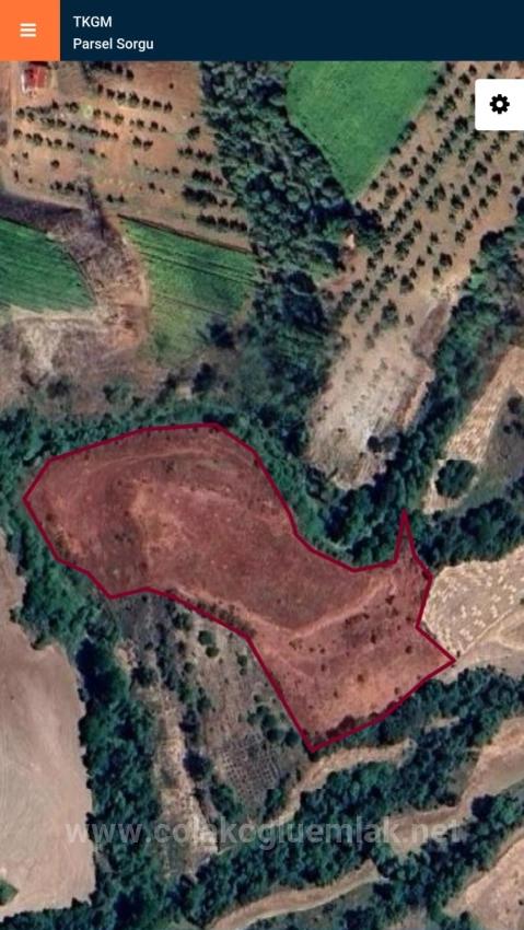 8.825 M² Field Suitable For Orchard Construction For Sale In Çameli Cevizli Village