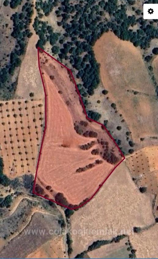 Investment Field In Çameli Cevizli Village, Close To Fethiye Road