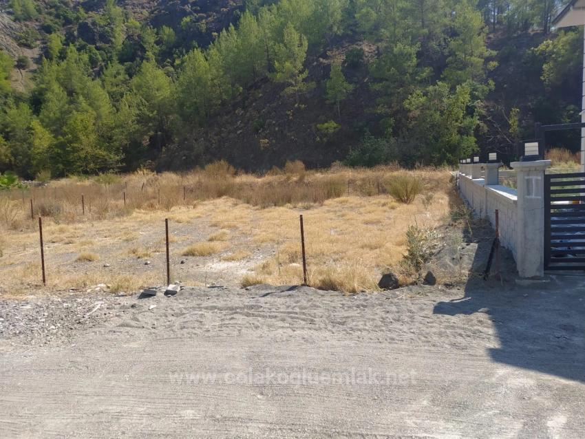 Investment Land In Dalaman From Çolakoğlu Real Estate