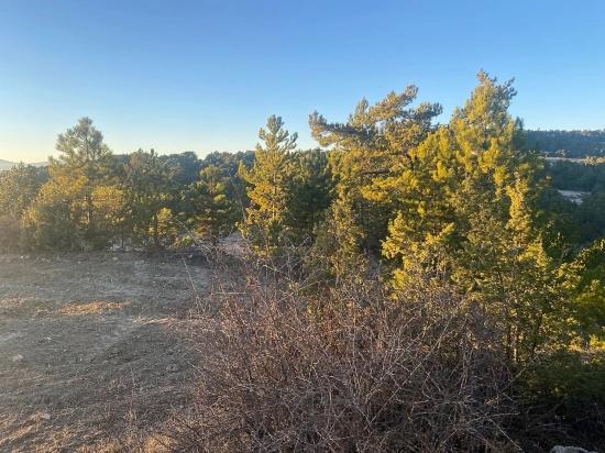 407M2 Detached Land With Title Deed For Sale In Çameli Gökçeyaka