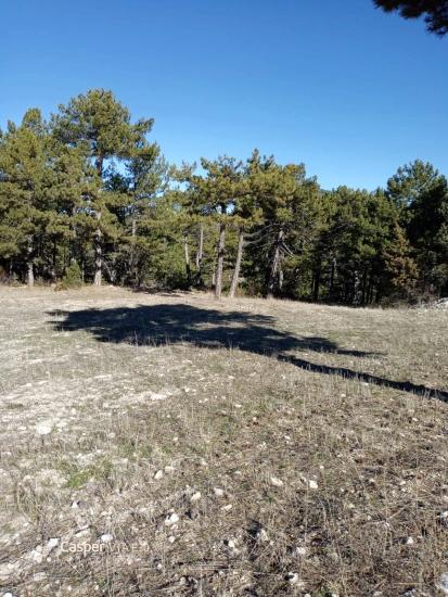 407M2 Detached Land With Title Deed For Sale In Çameli Gökçeyaka