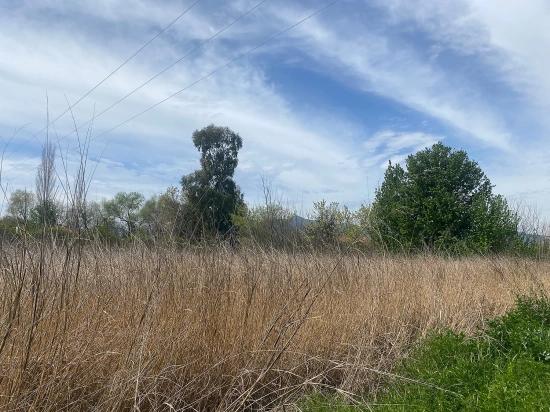 2.315M2 Detached Villa Plot For Sale In Ortaca Center