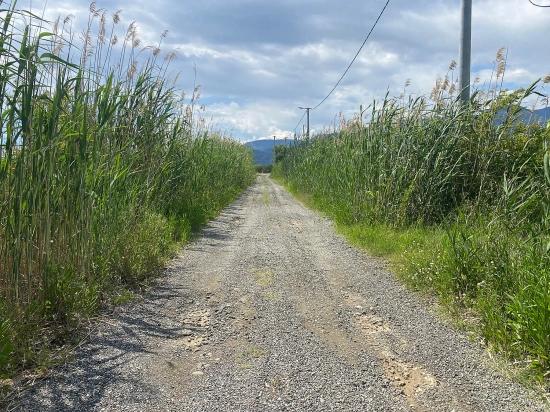 23,990M2 Detached Land For Sale In Ortaca Dalyan Neighborhood