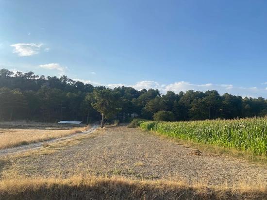 Bargain 1.356M2 Detached Land With Title Deed For Urgent Sale In Çameli Center