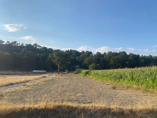 Bargain 1.356M2 Detached Land With Title Deed For Urgent Sale In Çameli Center