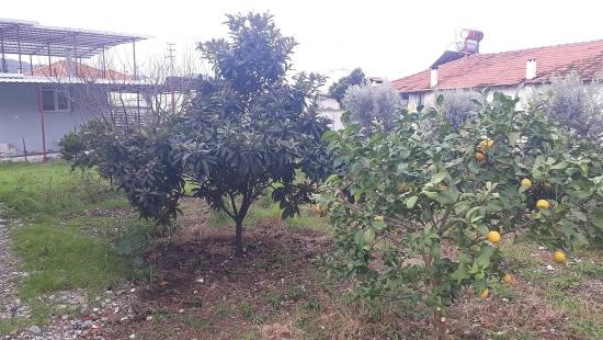 Detached Two-Storey House With Garden For Sale In Ortaca Ekşiliyurt