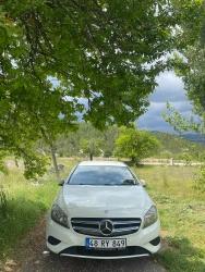 3+1 Detached House Farm With 15,000 M2 Garden For Sale In Çameli Center