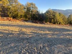 407M2 Detached Land With Title Deed For Sale In Çameli Gökçeyaka