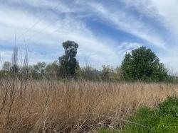 2.315M2 Detached Villa Plot For Sale In Ortaca Center