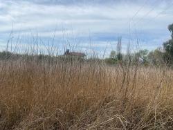 2.315M2 Detached Villa Plot For Sale In Ortaca Center