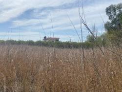 2.315M2 Detached Villa Plot For Sale In Ortaca Center