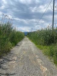 23,990M2 Detached Land For Sale In Ortaca Dalyan Neighborhood