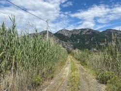 23,990M2 Detached Land For Sale In Ortaca Dalyan Neighborhood