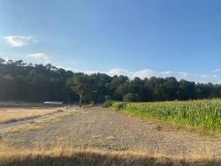 Bargain 1.356M2 Detached Land With Title Deed For Urgent Sale In Çameli Center