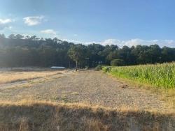 Bargain 1.356M2 Detached Land With Title Deed For Urgent Sale In Çameli Center