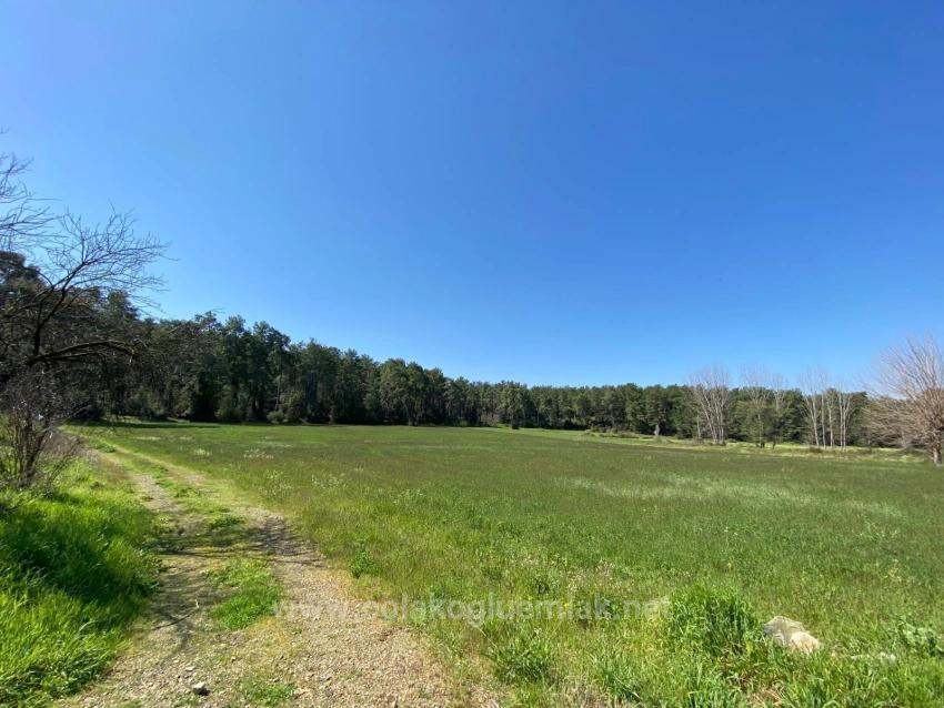 Отдельный Коммерческий Участок Площадью 530 М2 С Правоустанавливающим Документом На Продажу В Центре Ортаджа