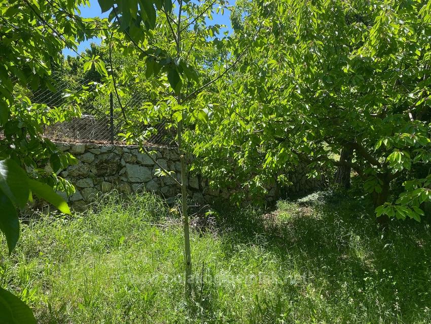 Продается Отдельный Участок Площадью 462 М2 С Правоустанавливающим Документом И Разрешением На Зонирование В Районе Ниф, Фетхие