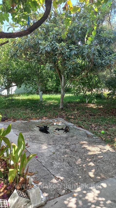 Продается Отдельный Дом 3+1 В Центре Ортаджа, Площадью 890 М2, На Территории Ботанического Сада