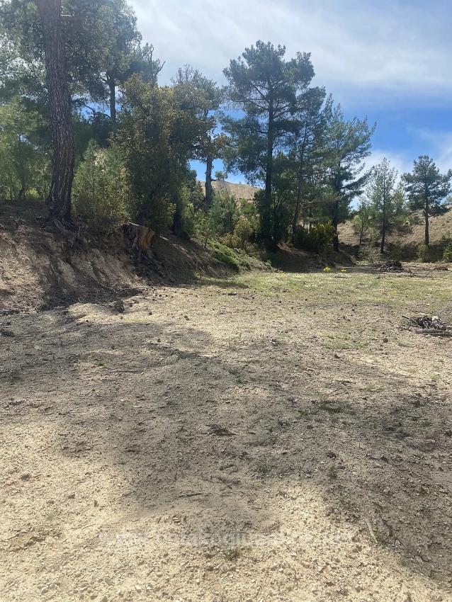 Продается Отдельный Участок Площадью 1150 М2 С Правоустанавливающим Документом В Районе Чамели-Джевизли