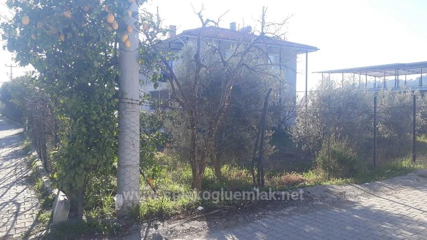 Продажа Отдельно Стоящего Двухэтажного Дома С Садом В Ортадже Эксилиюрт