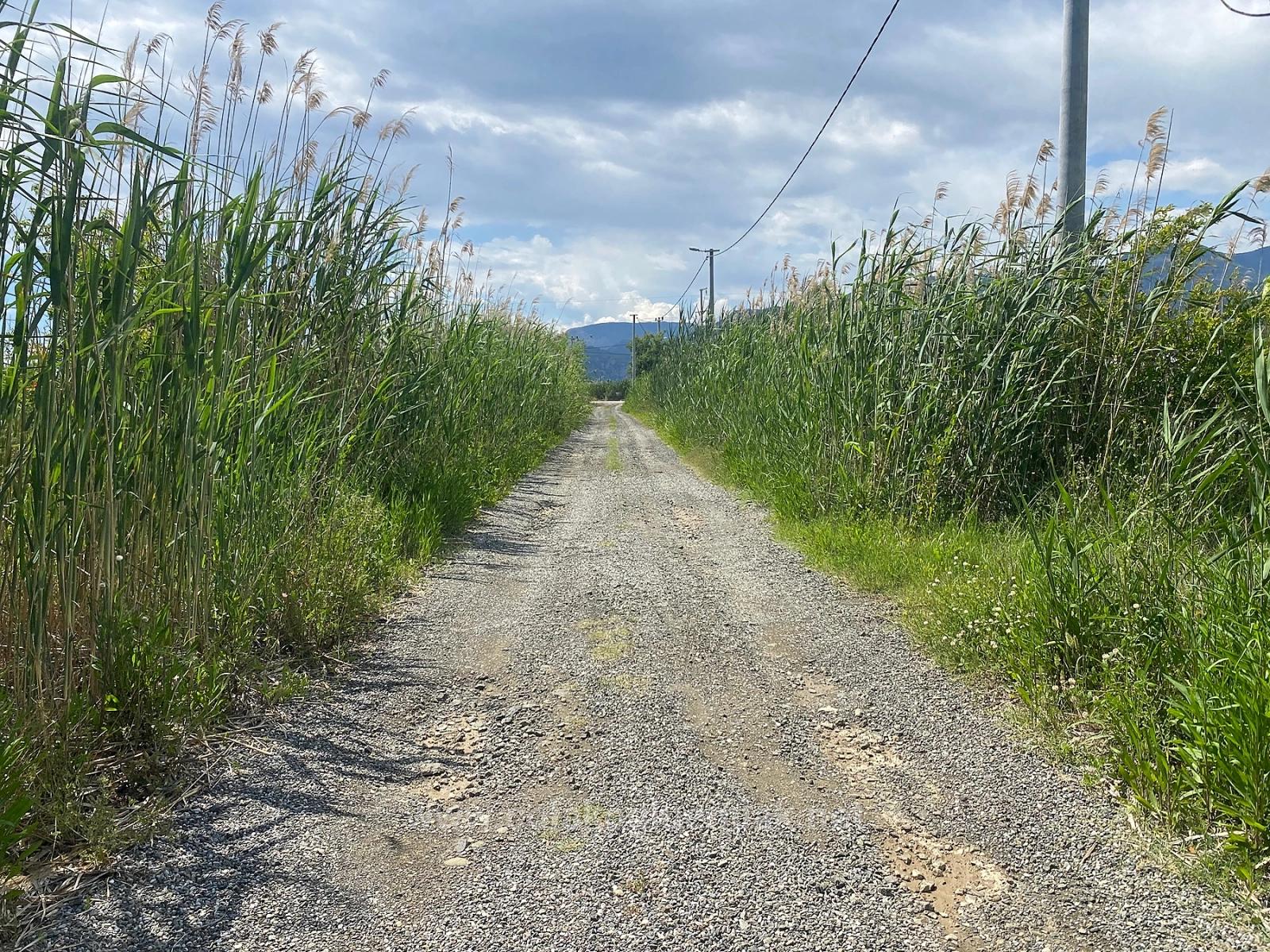 Ortaca Dalyan Mahallesi Satılık 23.990M2 Müstakil Tapulu Tarla
