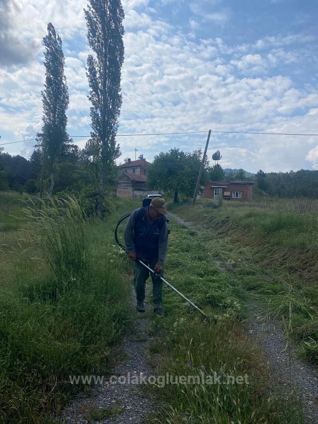 Çameli Merkezde Satılık 3+1 15.000M2 Bahçe İçinde Müstakil Ev Çiftlik