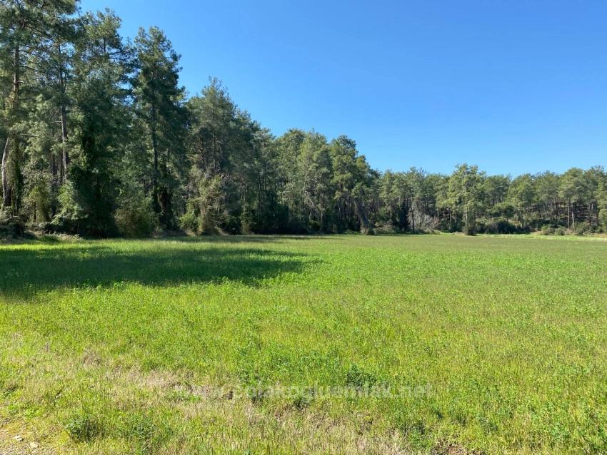 Ortaca Merkezde Satılık 530M2 Müstakil Tapulu Ticari İmarlı Arsa