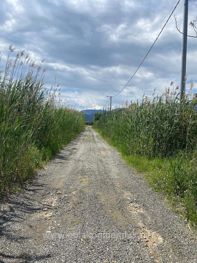 Ortaca Dalyan Mahallesi Satılık 23.990M2 Müstakil Tapulu Tarla