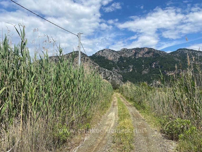 Ortaca Dalyan Mahallesi Satılık 23.990M2 Müstakil Tapulu Tarla