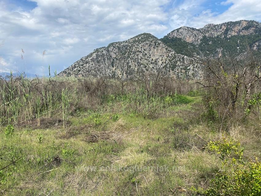 Ortaca Dalyan Mahallesi Satılık 23.990M2 Müstakil Tapulu Tarla