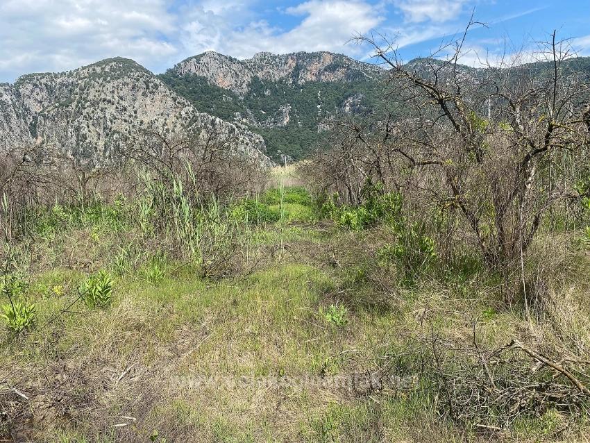 Ortaca Dalyan Mahallesi Satılık 23.990M2 Müstakil Tapulu Tarla