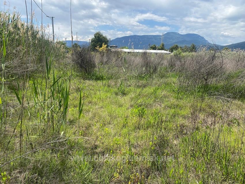 Ortaca Dalyan Mahallesi Satılık 23.990M2 Müstakil Tapulu Tarla