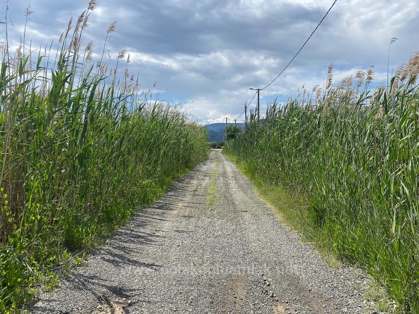 Ortaca Dalyan Mahallesi Satılık 23.990M2 Müstakil Tapulu Tarla