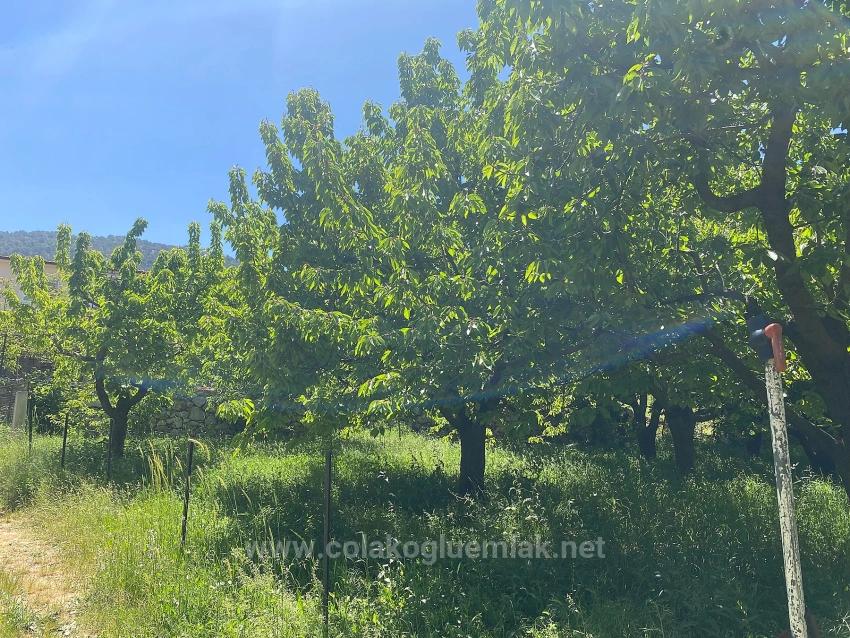 Fethiye Nif Mahallesi Satılık 462M2 Müstakil Tapulu İmarlı Arsa