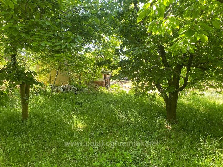 Fethiye Nif Mahallesi Satılık 462M2 Müstakil Tapulu İmarlı Arsa