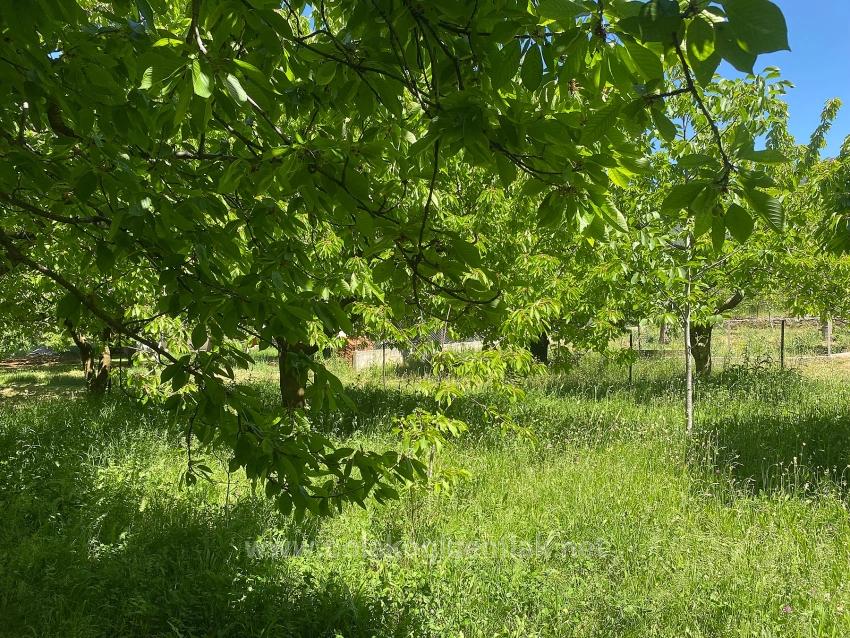 Fethiye Nif Mahallesi Satılık 462M2 Müstakil Tapulu İmarlı Arsa