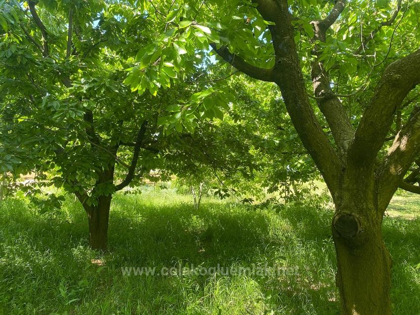 Fethiye Nif Mahallesi Satılık 462M2 Müstakil Tapulu İmarlı Arsa