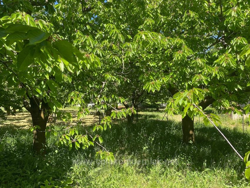 Fethiye Nif Mahallesi Satılık 462M2 Müstakil Tapulu İmarlı Arsa