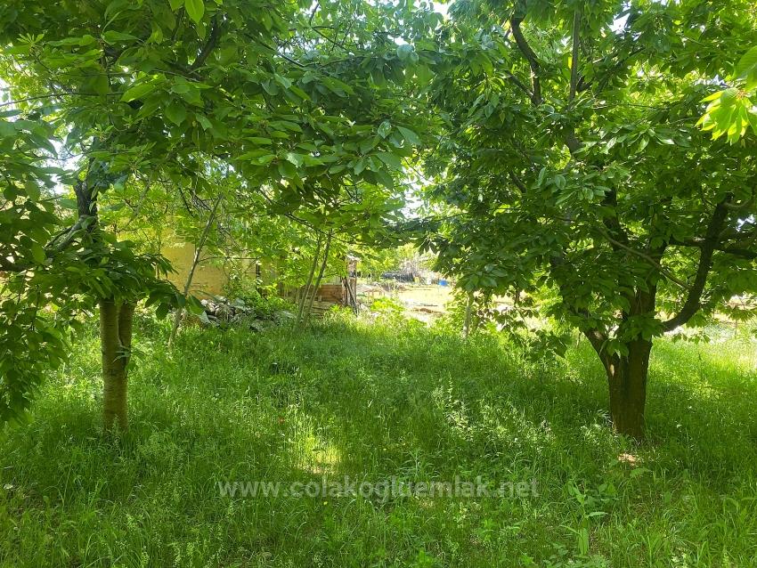 Fethiye Nif Mahallesi Satılık 462M2 Müstakil Tapulu İmarlı Arsa