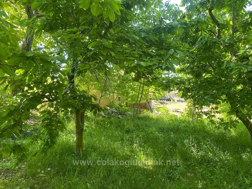 Fethiye Nif Mahallesi Satılık 462M2 Müstakil Tapulu İmarlı Arsa