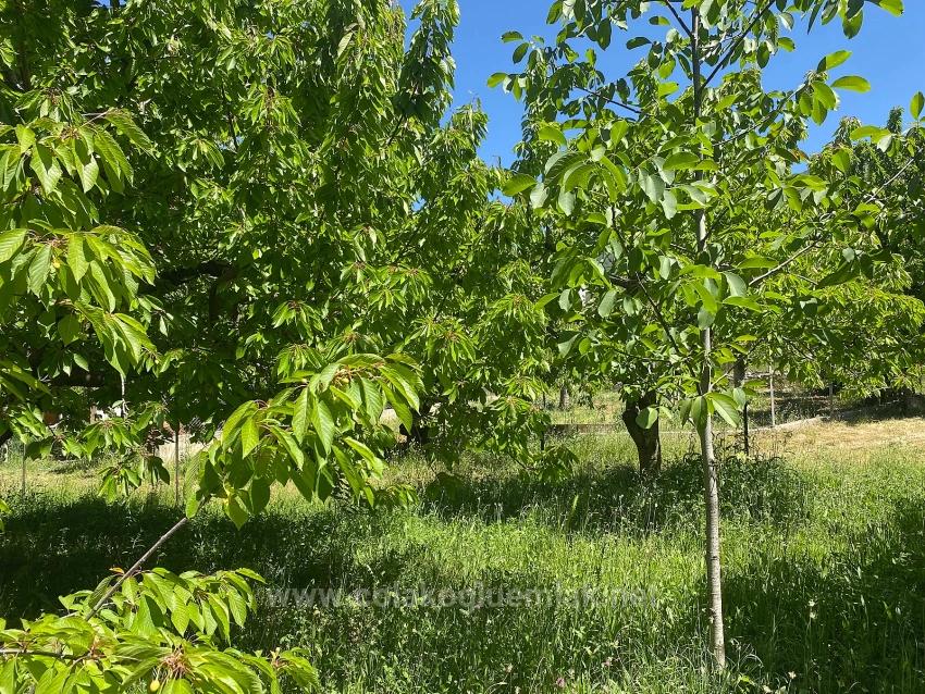 Fethiye Nif Mahallesi Satılık 462M2 Müstakil Tapulu İmarlı Arsa