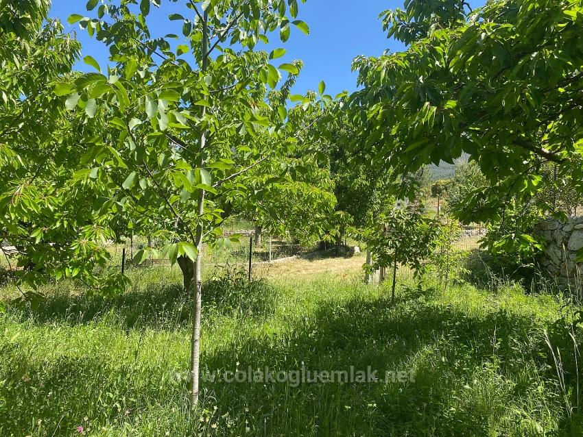 Fethiye Nif Mahallesi Satılık 462M2 Müstakil Tapulu İmarlı Arsa